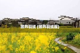 团购羽绒 (团购羽绒服)