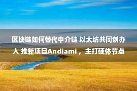 区块链如何替代中介链 以太坊共同创办人 推新项目Andiami ，主打硬体节点、赛局理论