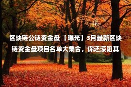 区块链公链资金盘 【曝光】3月最新区块链资金盘项目名单大集合，你还深陷其中吗？