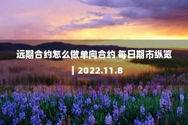 远期合约怎么做单向合约 每日期市纵览丨2022.11.8