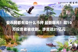 安币网都有些什么币种 最新曝光！超10万投资者被收割，涉资达21亿元