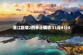 湛江新增2例本土确诊 11月8日0