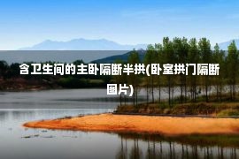 含卫生间的主卧隔断半拱(卧室拱门隔断图片)