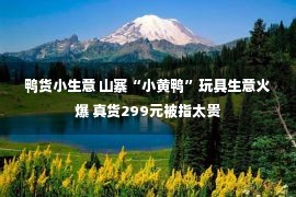 鸭货小生意 山寨“小黄鸭”玩具生意火爆 真货299元被指太贵