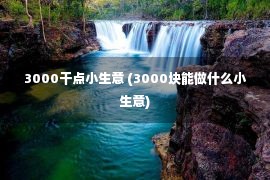 3000干点小生意 (3000块能做什么小生意)