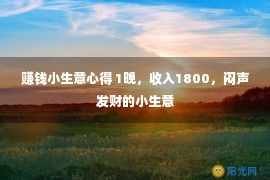 赚钱小生意心得 1晚，收入1800，闷声发财的小生意