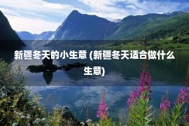 新疆冬天的小生意 (新疆冬天适合做什么生意)