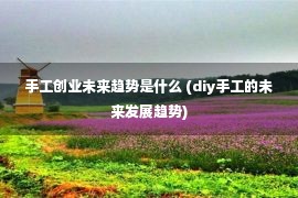 手工创业未来趋势是什么 (diy手工的未来发展趋势)