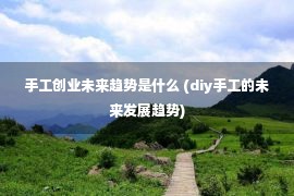 手工创业未来趋势是什么 (diy手工的未来发展趋势)