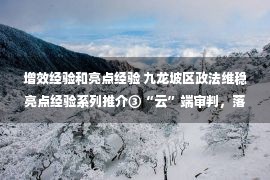 增效经验和亮点经验 九龙坡区政法维稳亮点经验系列推介③“云”端审判，落地执行，区法院精准施策推动提质增效