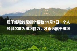 属于经验的是哪个经验 11月7日：个人经验沉淀为组织能力，才永远属于组织