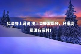 抖音线上赚钱 线上直播演唱会，只赚流量没有赢利？