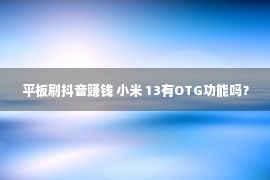 平板刷抖音赚钱 小米 13有OTG功能吗？