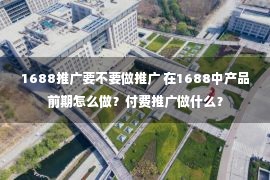 1688推广要不要做推广 在1688中产品前期怎么做？付费推广做什么？