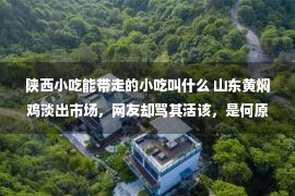 陕西小吃能带走的小吃叫什么 山东黄焖鸡淡出市场，网友却骂其活该，是何原因？