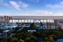 自制烘培创业项目 (diy烘焙项目)