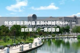 创业项目实测内容 实测小鹏城市NGP：一直在撇汗，一路很靠谱