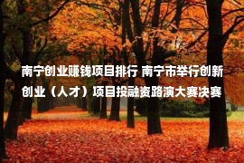 南宁创业赚钱项目排行 南宁市举行创新创业（人才）项目投融资路演大赛决赛