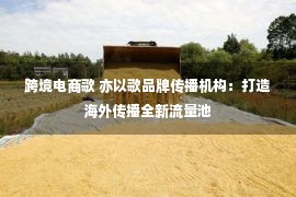 跨境电商歌 亦以歌品牌传播机构：打造海外传播全新流量池