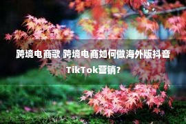 跨境电商歌 跨境电商如何做海外版抖音TikTok营销？