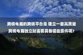 跨境电商的跨境平台是 建立一套高质量跨境电商独立站需要具备哪些条件呢？