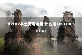 tiktok本土跨境电商 什么是TIKTOK SHOP？