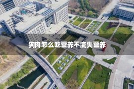 狗肉怎么吃营养不流失营养