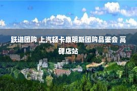 跃进团购 上汽轻卡康明斯团购品鉴会 高碑店站