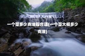 一个菜多少克油脂合适(一个菜大概多少克油)