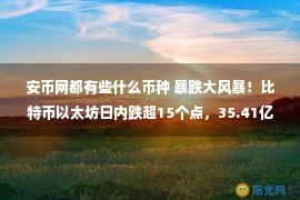 安币网都有些什么币种 暴跌大风暴！比特币以太坊日内跌超15个点，35.41亿资金被血洗，什么原因？