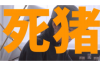 倒霉讨债者：错误地敲门，引来风水大祸！