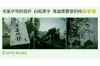 催收如何知道通讯录